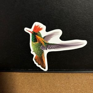 HUMMINGBIRD STICKER